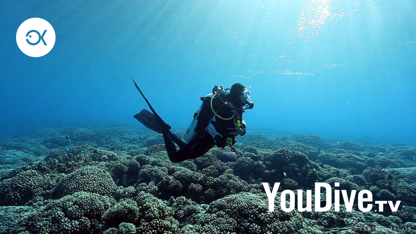 Youdive Tv The Online Tv Channel In Hd About Scuba Diving